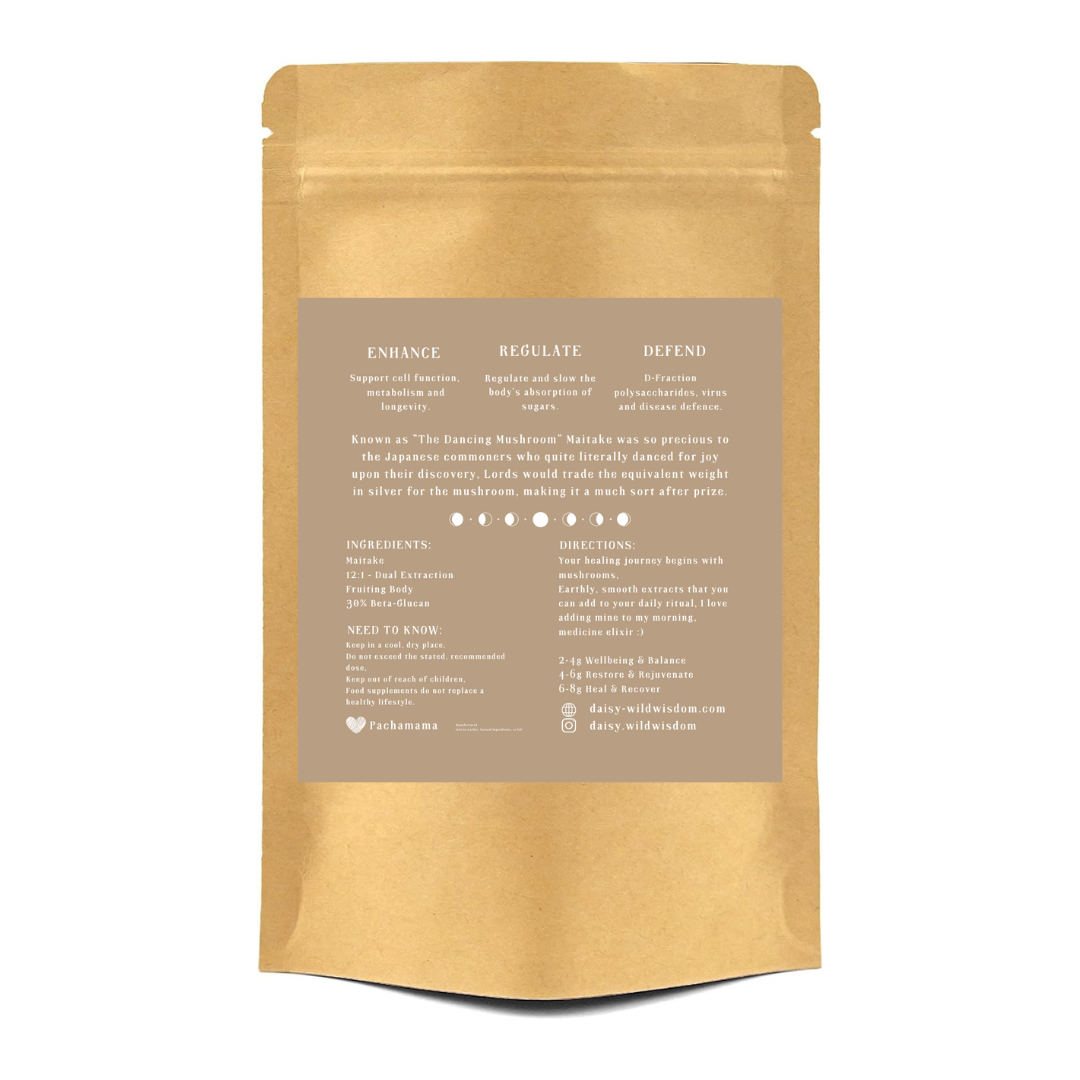 MAITAKE Grifola frondosa Daisy Wild Wisdom